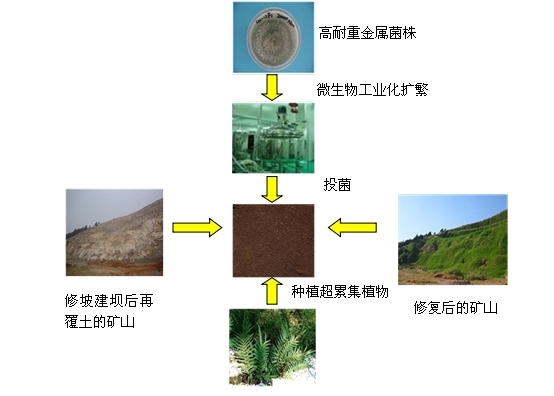富联平台 f8c35